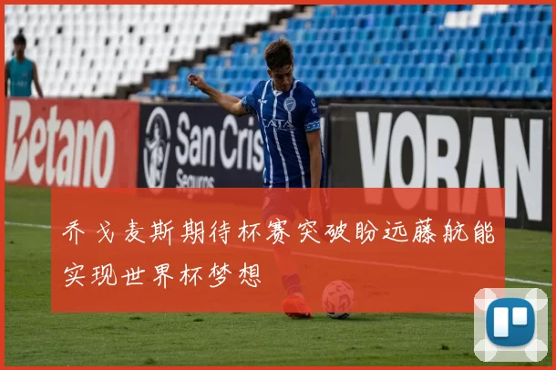 乔戈麦斯期待杯赛突破盼远藤航能实现世界杯梦想