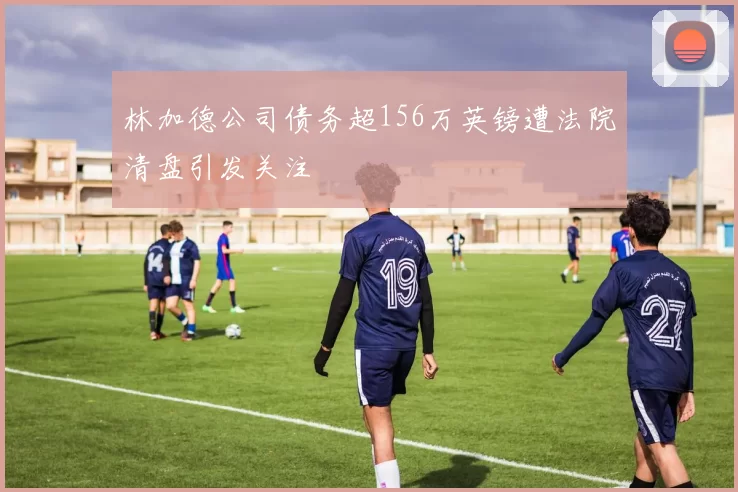 林加德公司债务超156万英镑遭法院清盘引发关注