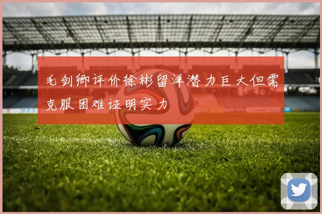 毛剑卿评价徐彬留洋潜力巨大但需克服困难证明实力